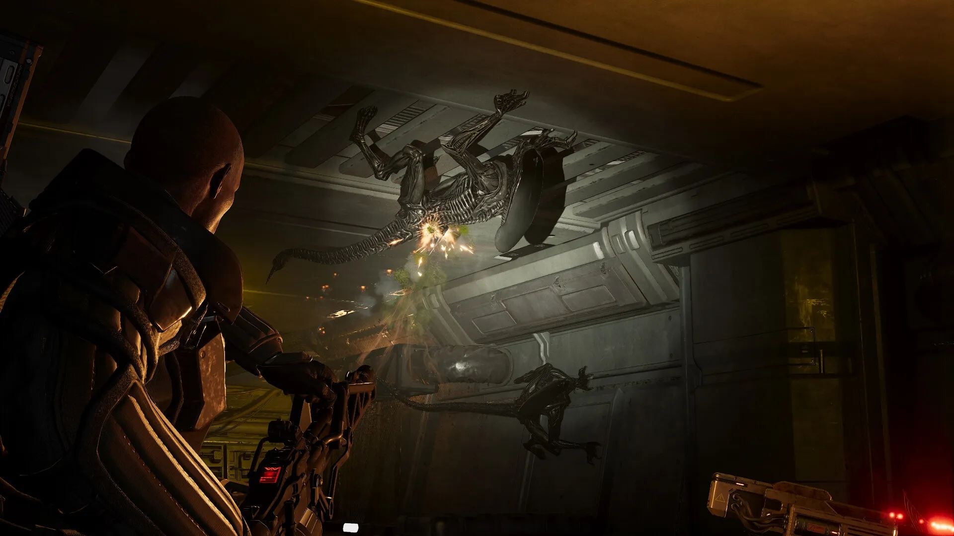 How to Level Up Fast in Aliens Fireteam Elite 2