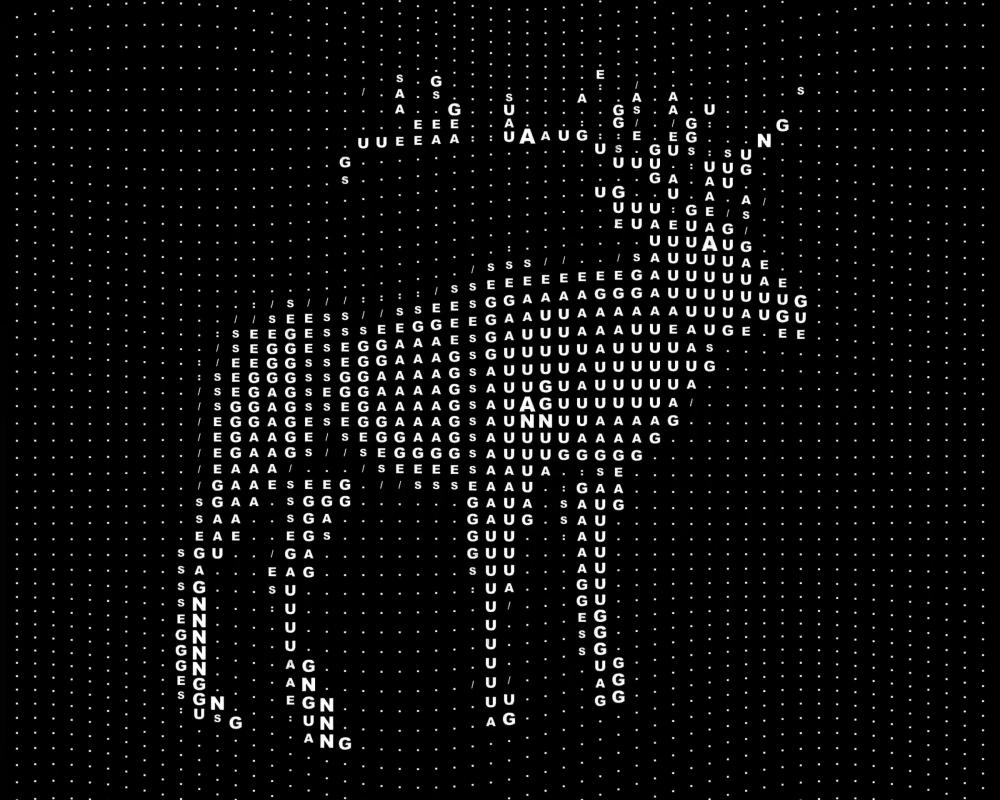 Using AI to ‘talk to animals’ might make us feel clever – but what, if anything, does it do for them?