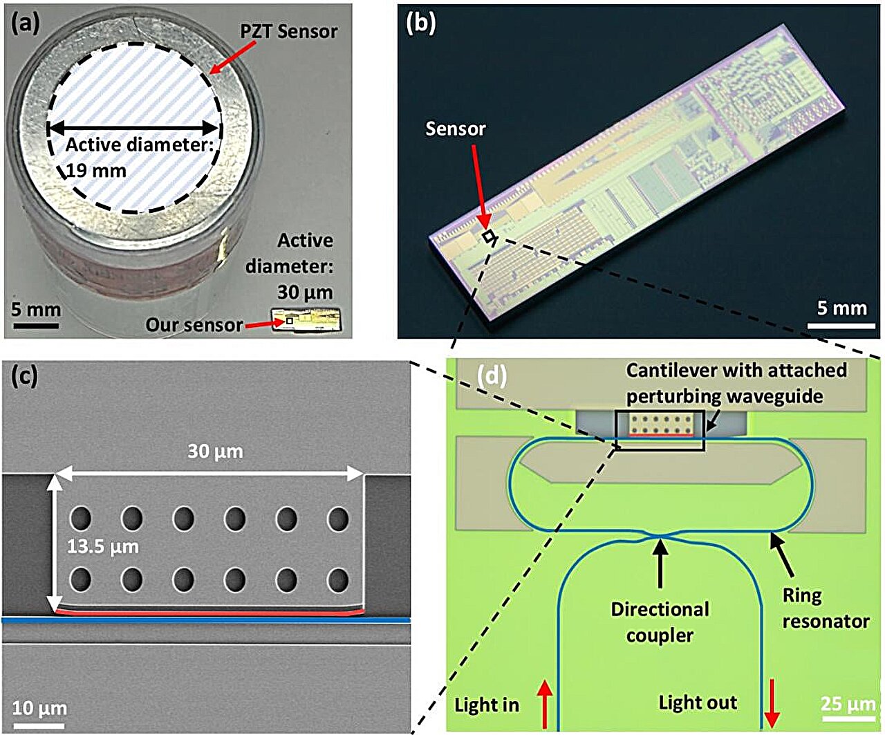 Miniature optical sensor achieves 25,000-fold higher airborne ultrasound responsivity per unit area
