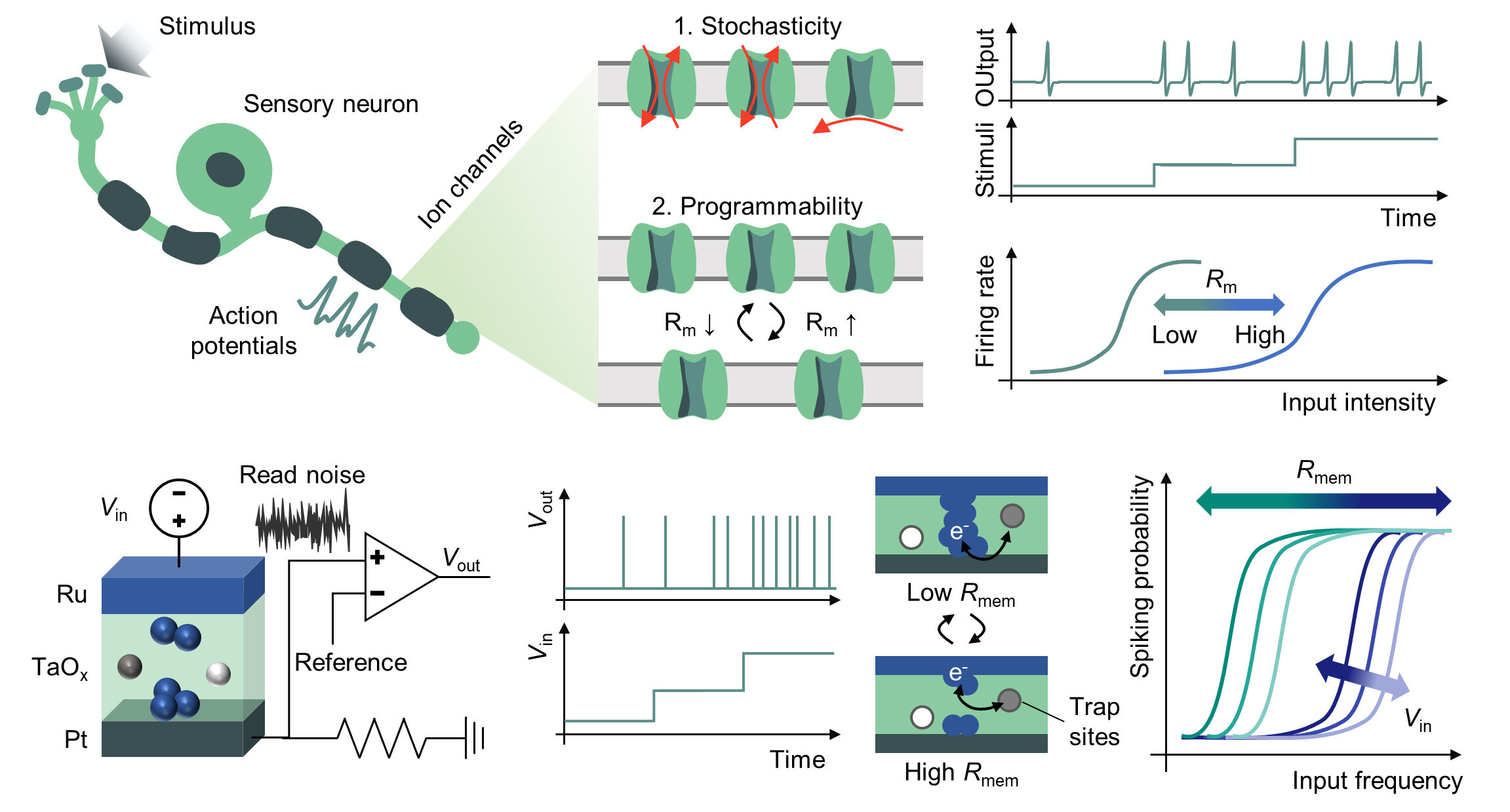 Novel semiconductor neuron tunes noise to selectively process signals