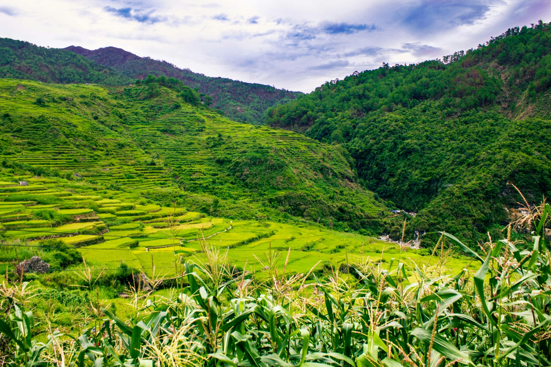 ACEN relinquishes Philippine solar projects over land, access issues