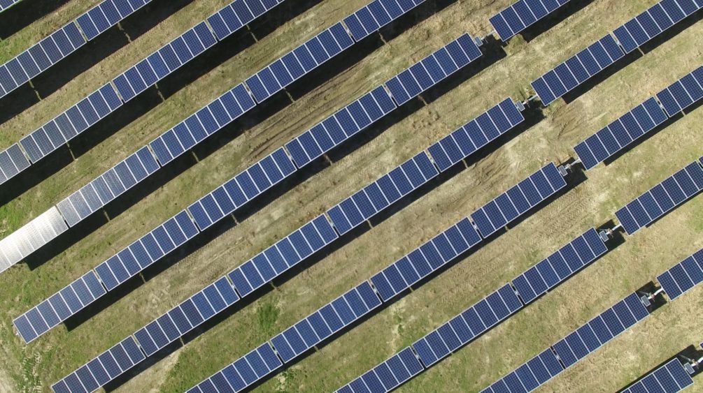 Amazon, Nadara switch on 277 MW agrivoltaic facility in Italy