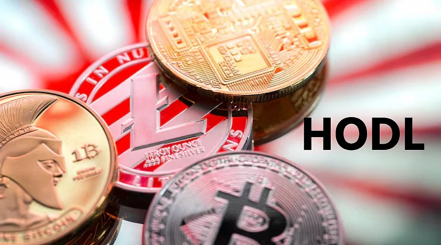 What is HODL in Crypto? How the Buy-and-Hold Strategy Works