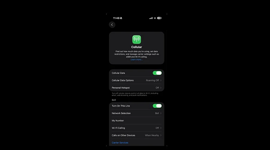 How to Change Mobile Network Settings on iPhone?