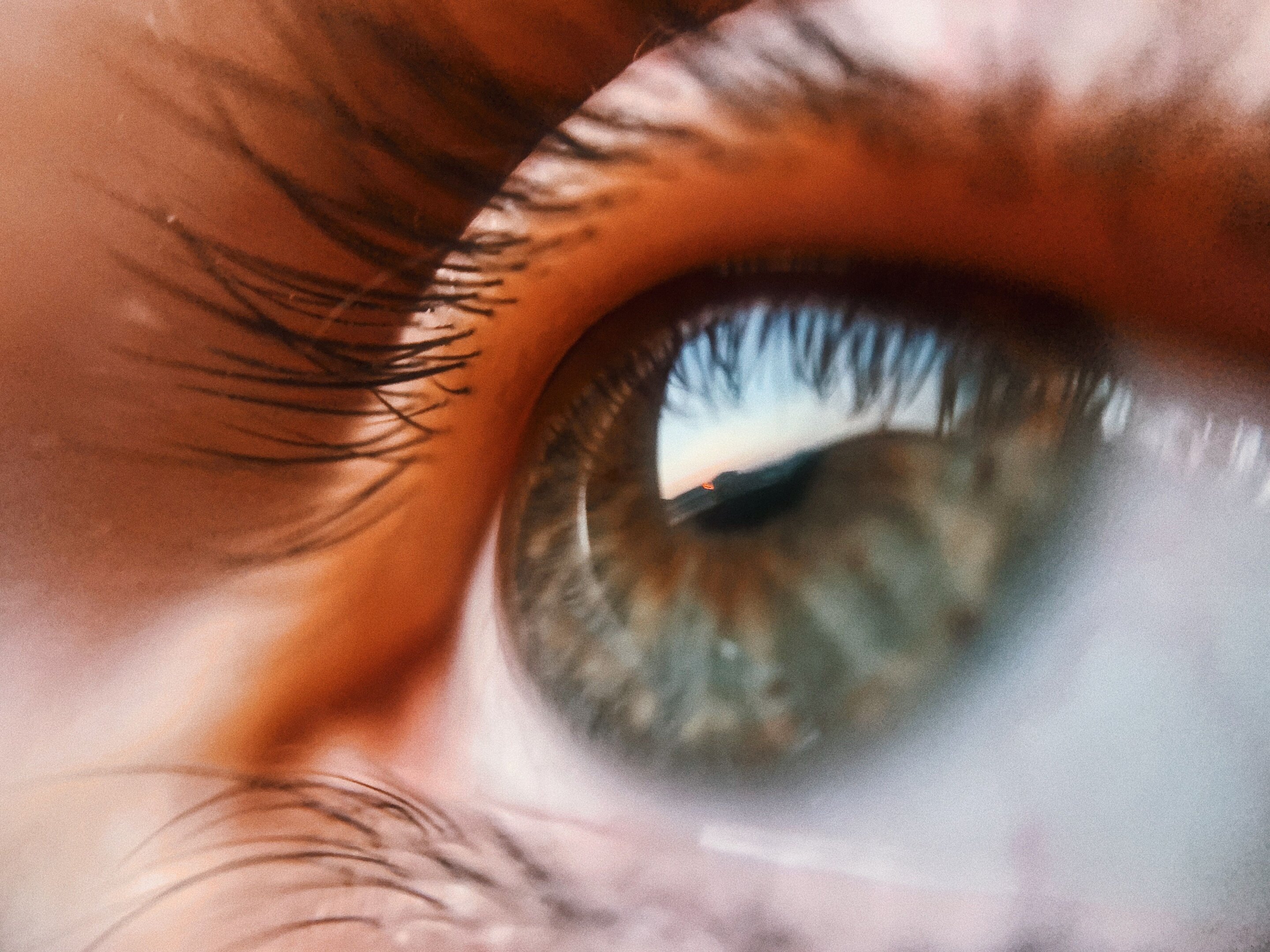The brain on the edge of chaos: What keeps our vision under control?