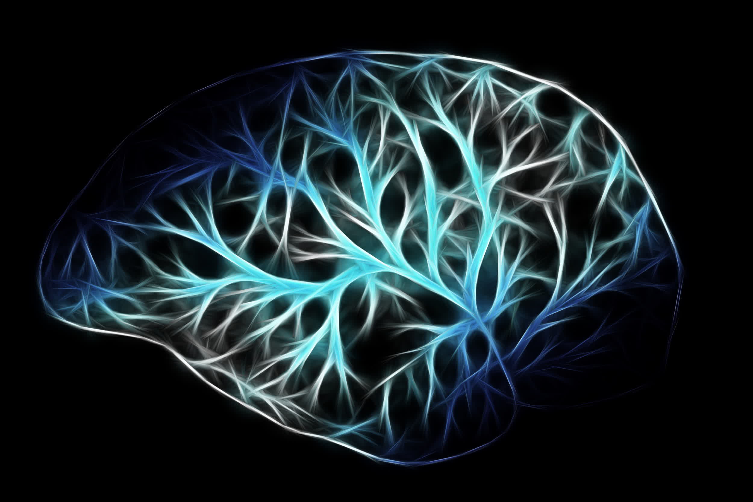 Stanford researchers say the brain is actually two organs pretending to be one