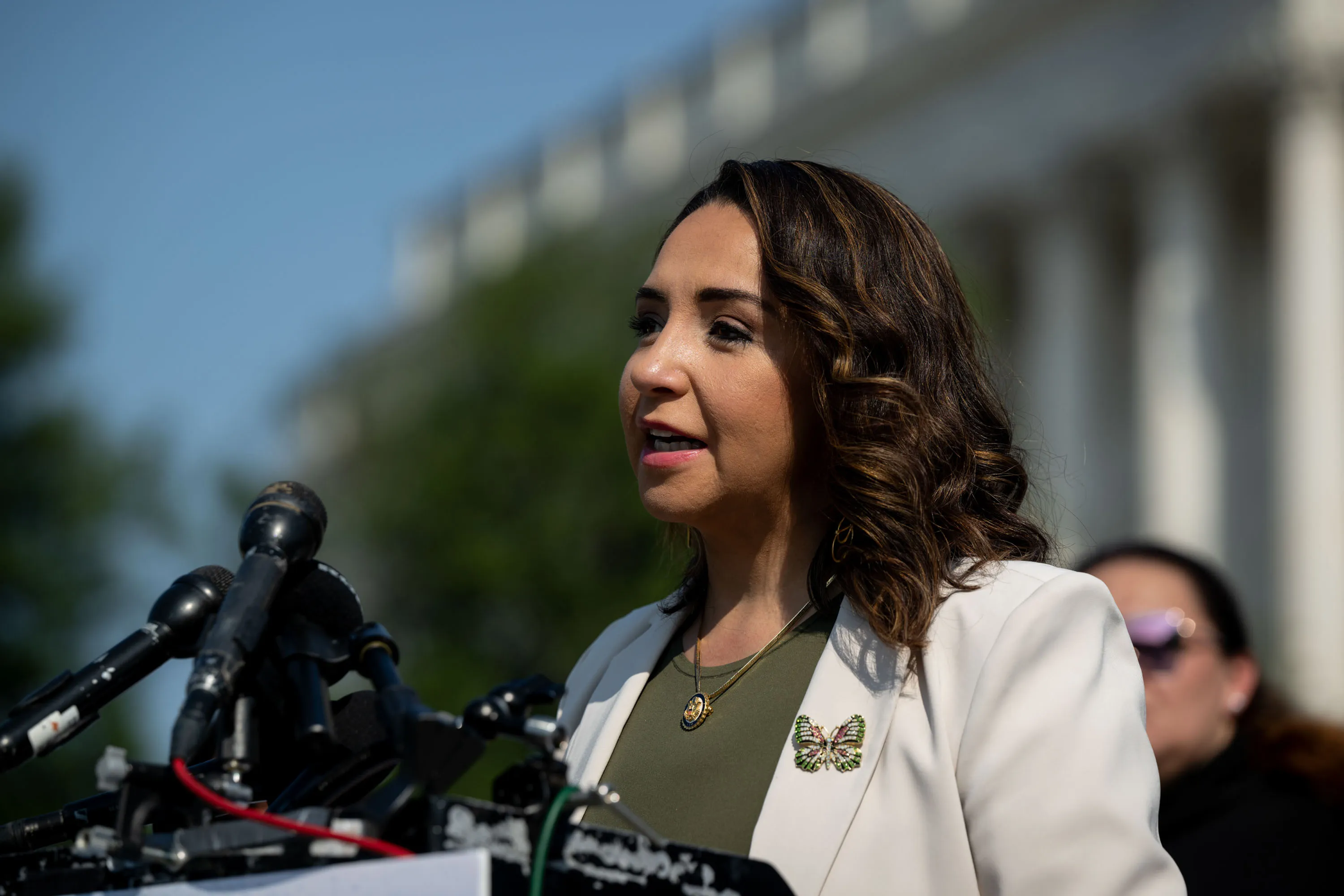 A congressional representative just proposed killing America’s border tower program