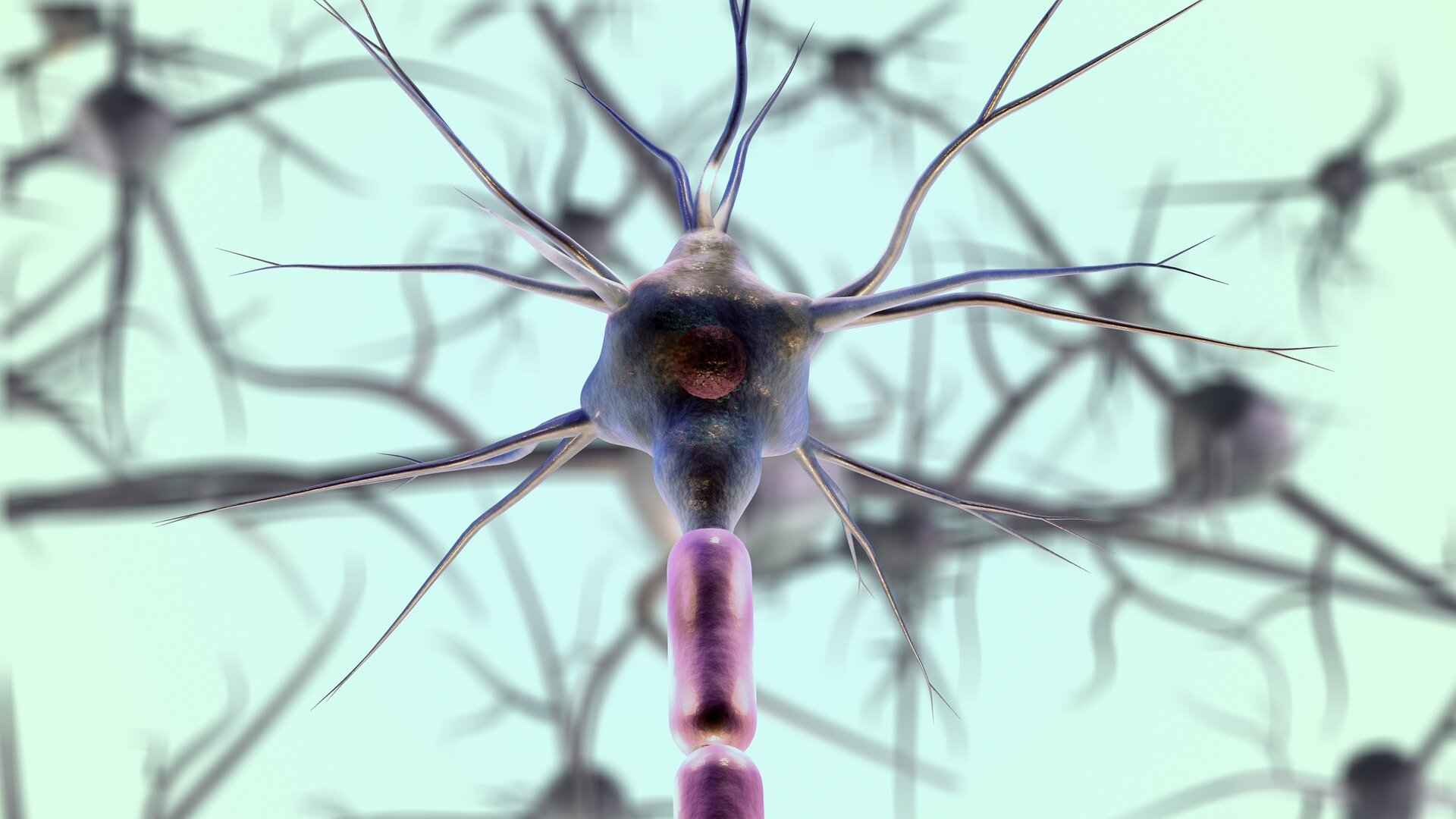 Experimental drug reverses paralysis and vision loss in multiple sclerosis model