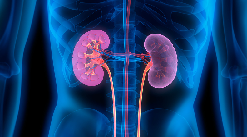 Phase 3 Data Could Make Roche Drug a Contender to Treat Rare Kidney Disease`