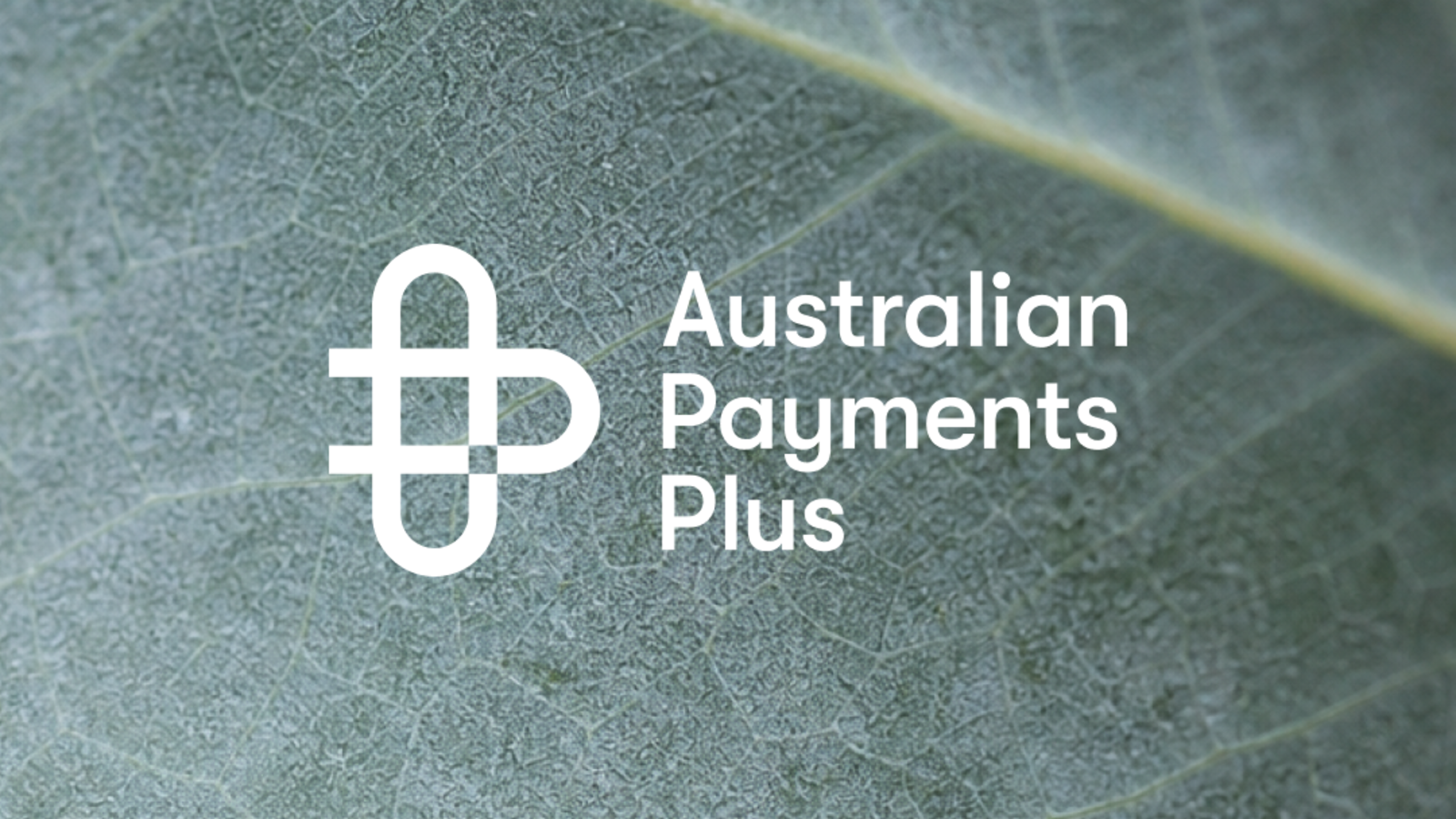 Australian Payments Plus moves faster with ChatGPT and Codex