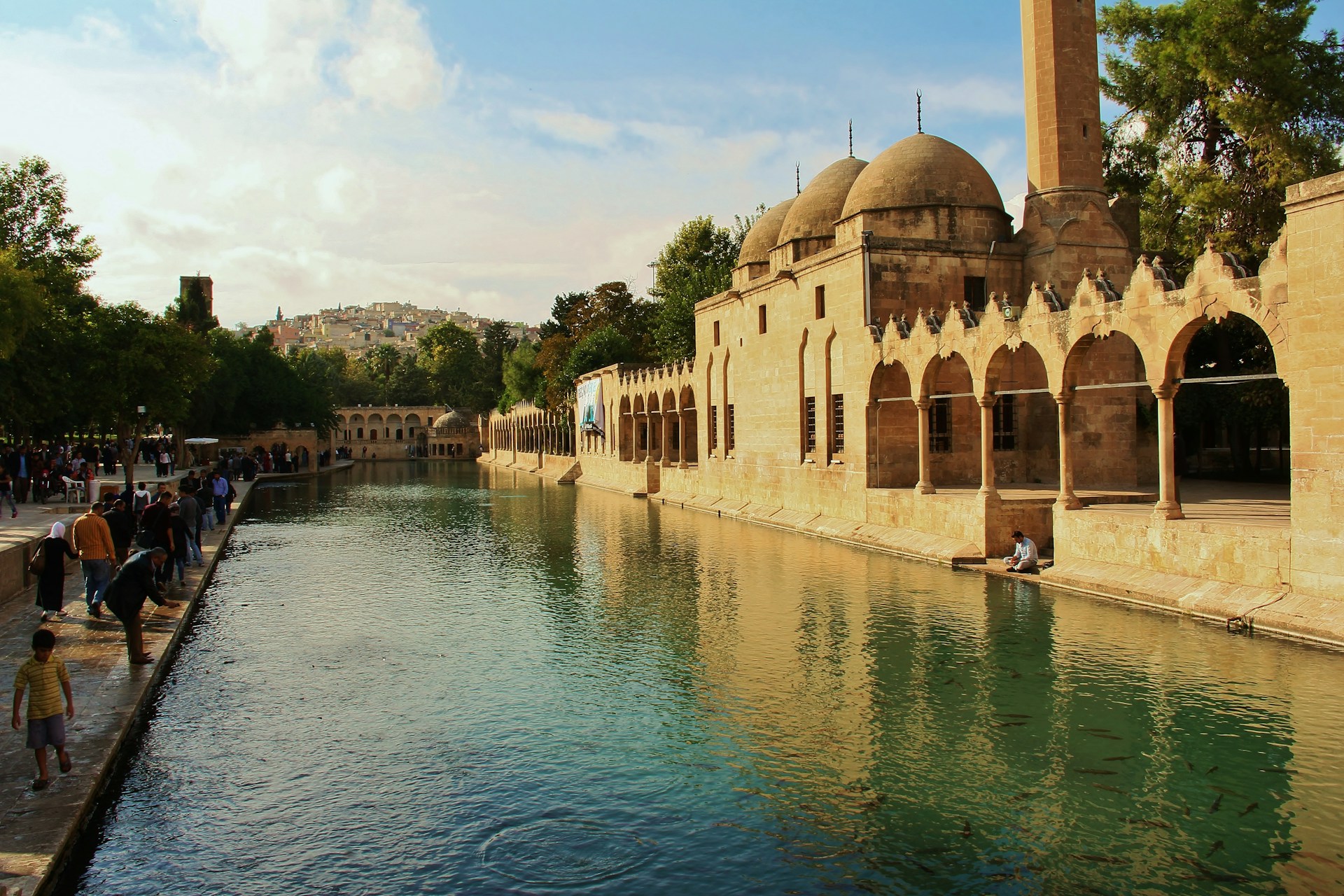 Turkish utility tenders solar project