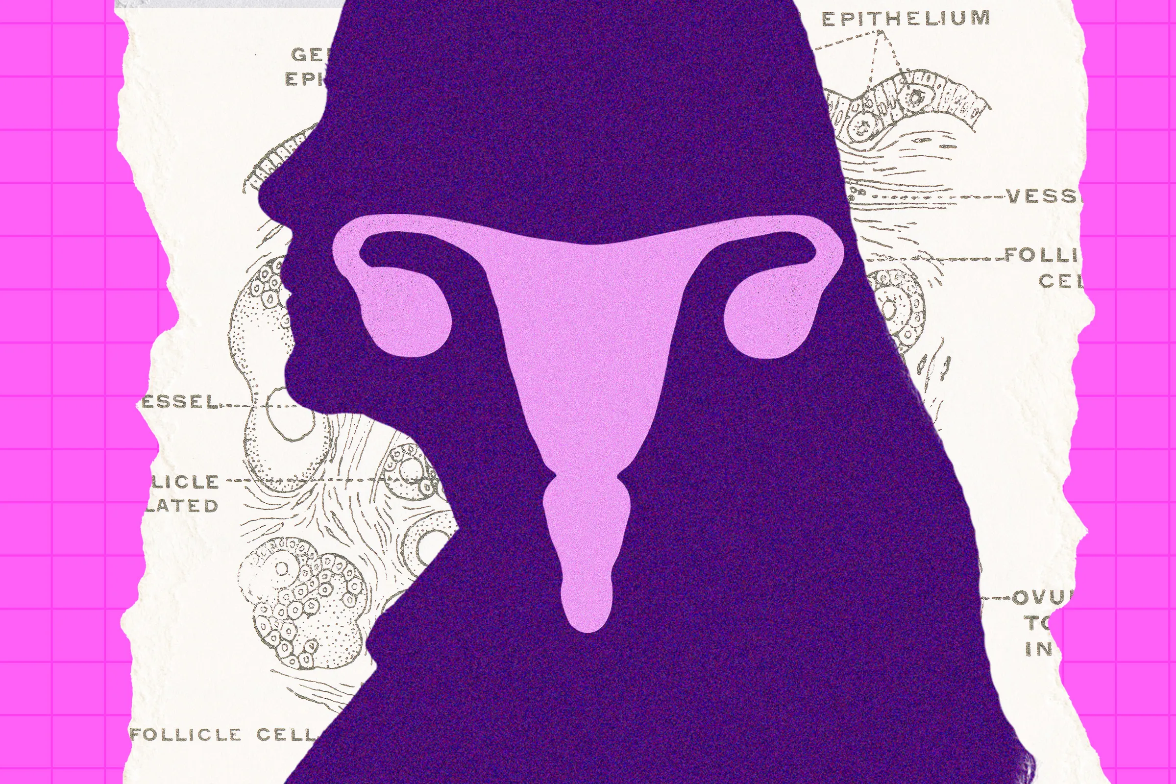 The Ovary Is Surprisingly Active After Menopause. Scientists Are Trying to Figure Out Why