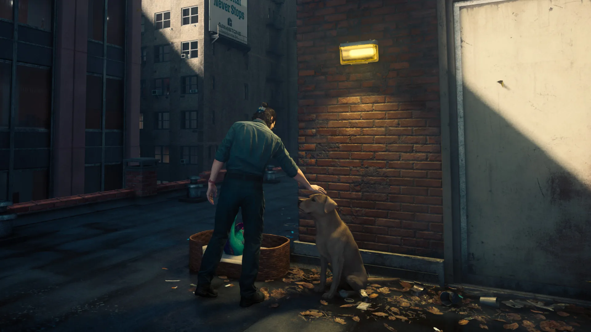 Where to find the mysterious dog's toy in Control Resonant