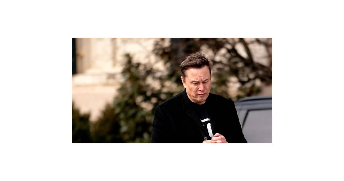 US Seeks to Join Musk in Court Fight With EU Over X Fine
