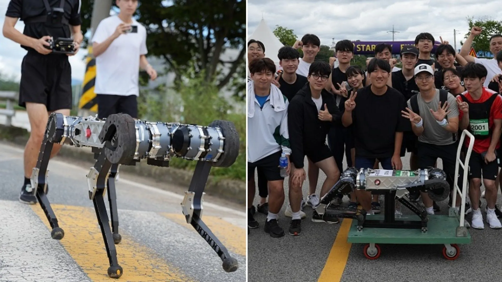 Robot dog finishes 26-mile marathon on a single battery charge, beating human efficiency