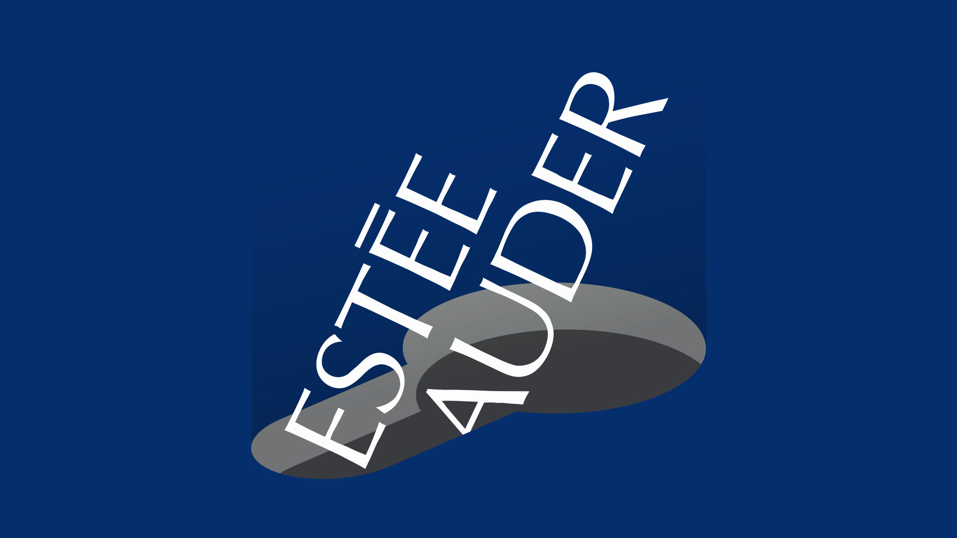 Estée Lauder facing new stockholder suit over alleged use of gray markets