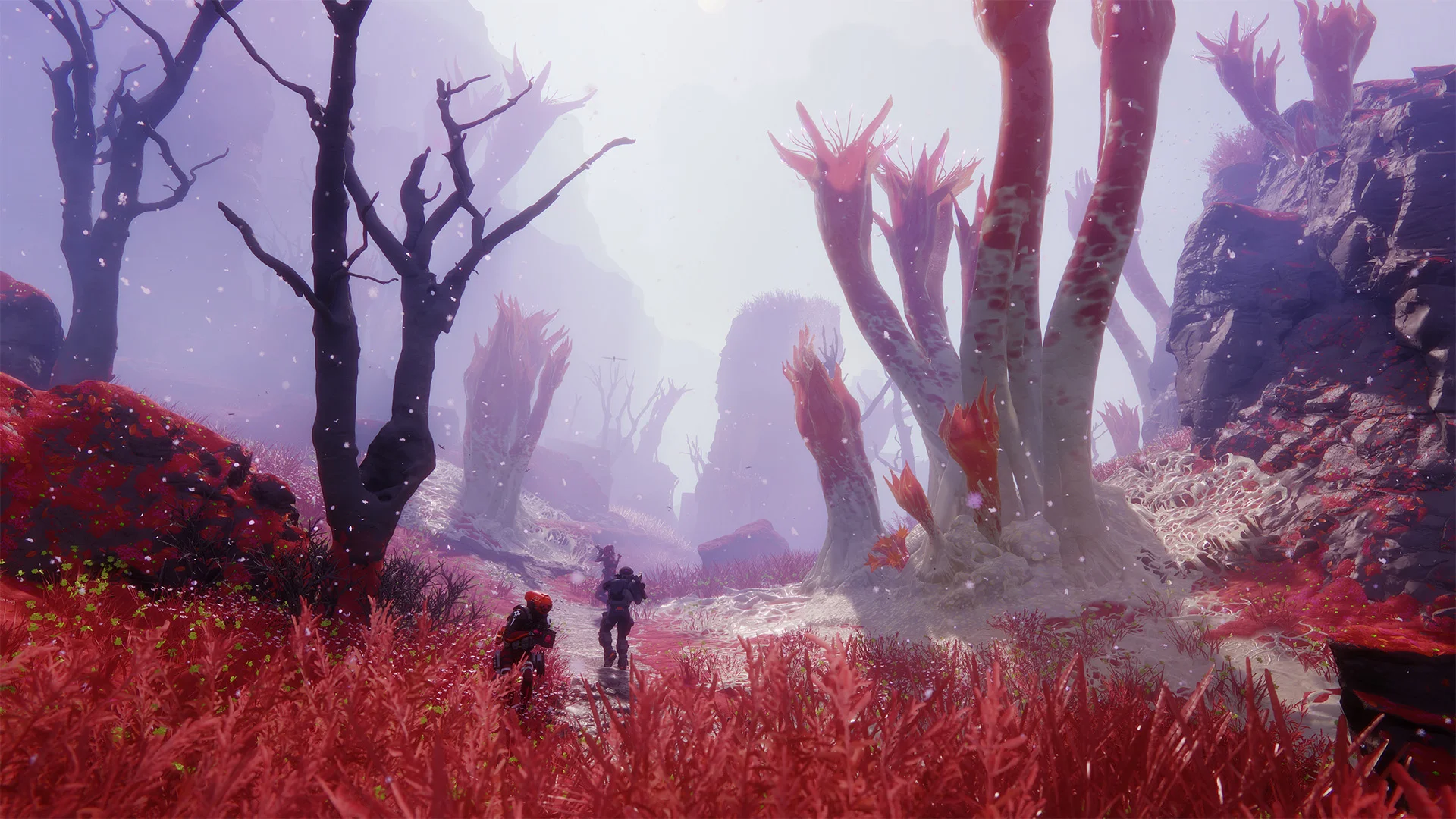 The future of Marathon includes a fungus-filled Perimeter, a social hub, and a shift "beyond extraction"