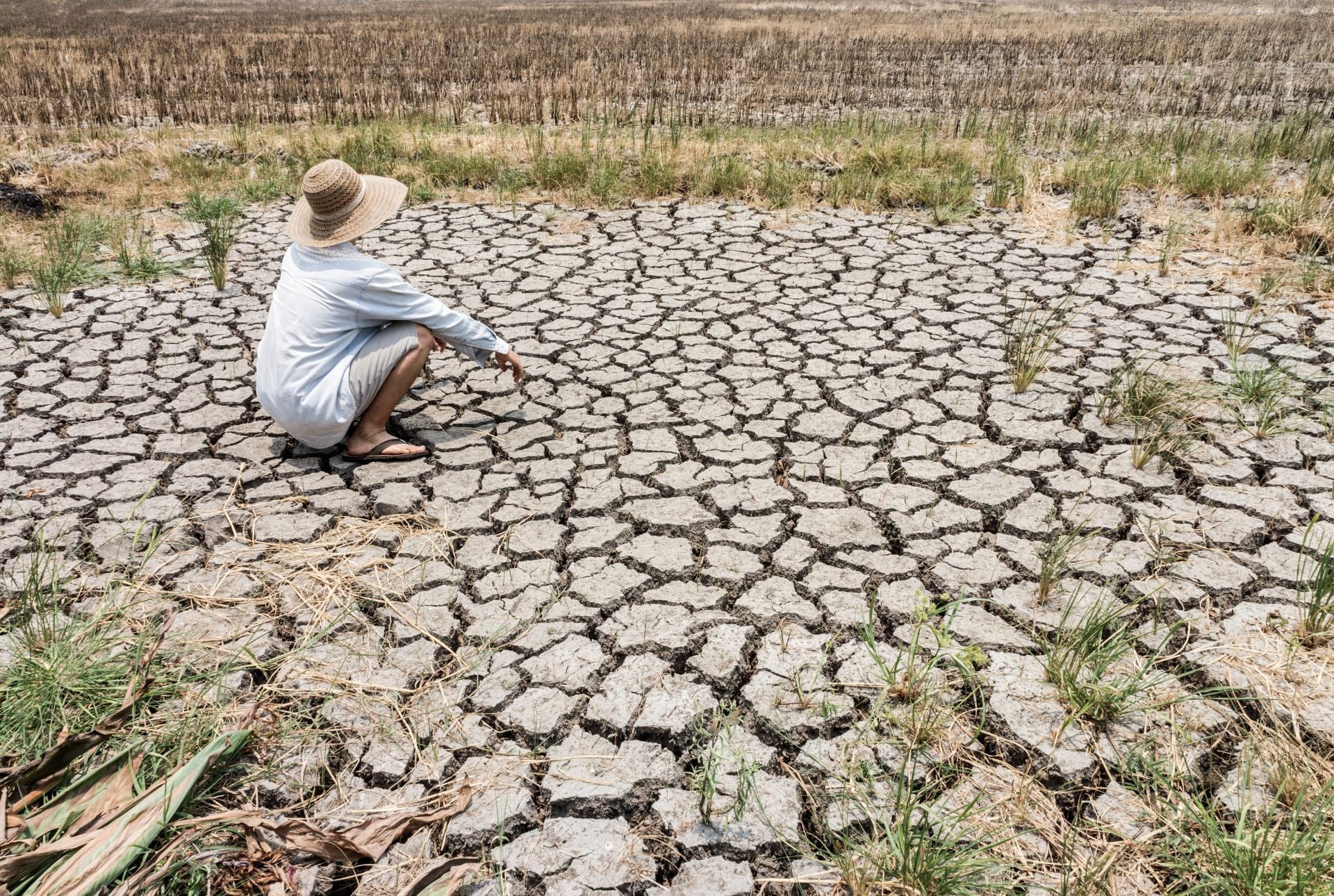 New Map Reveals Where This ‘Super’ El Niño Will Hit Hardest, and It’s Not Pretty