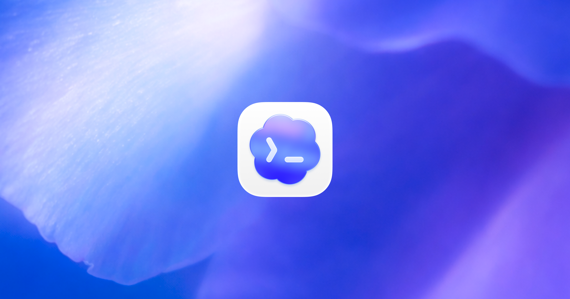 Introducing the Codex app