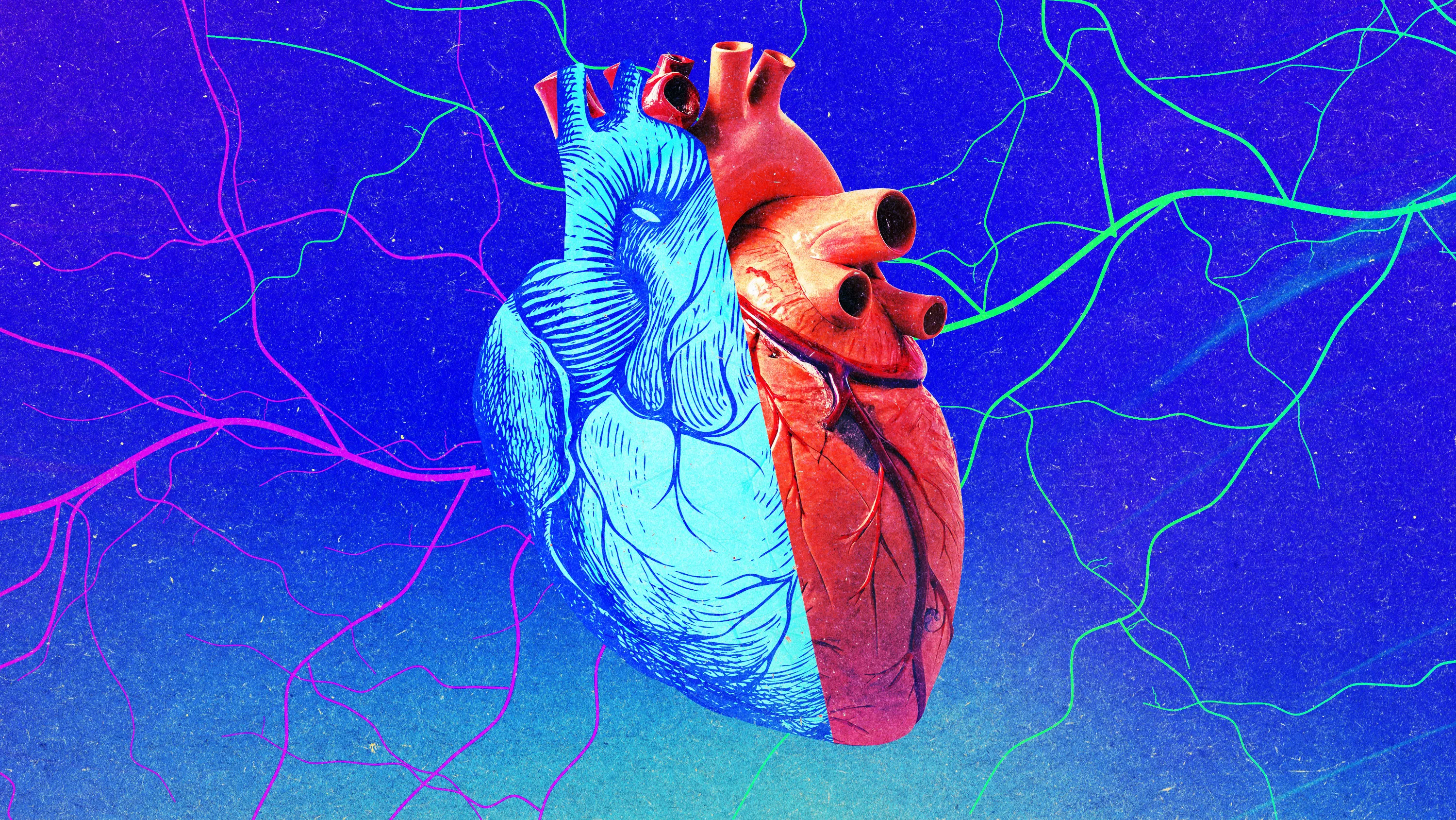 Young organs may not be a fountain of youth for recipients