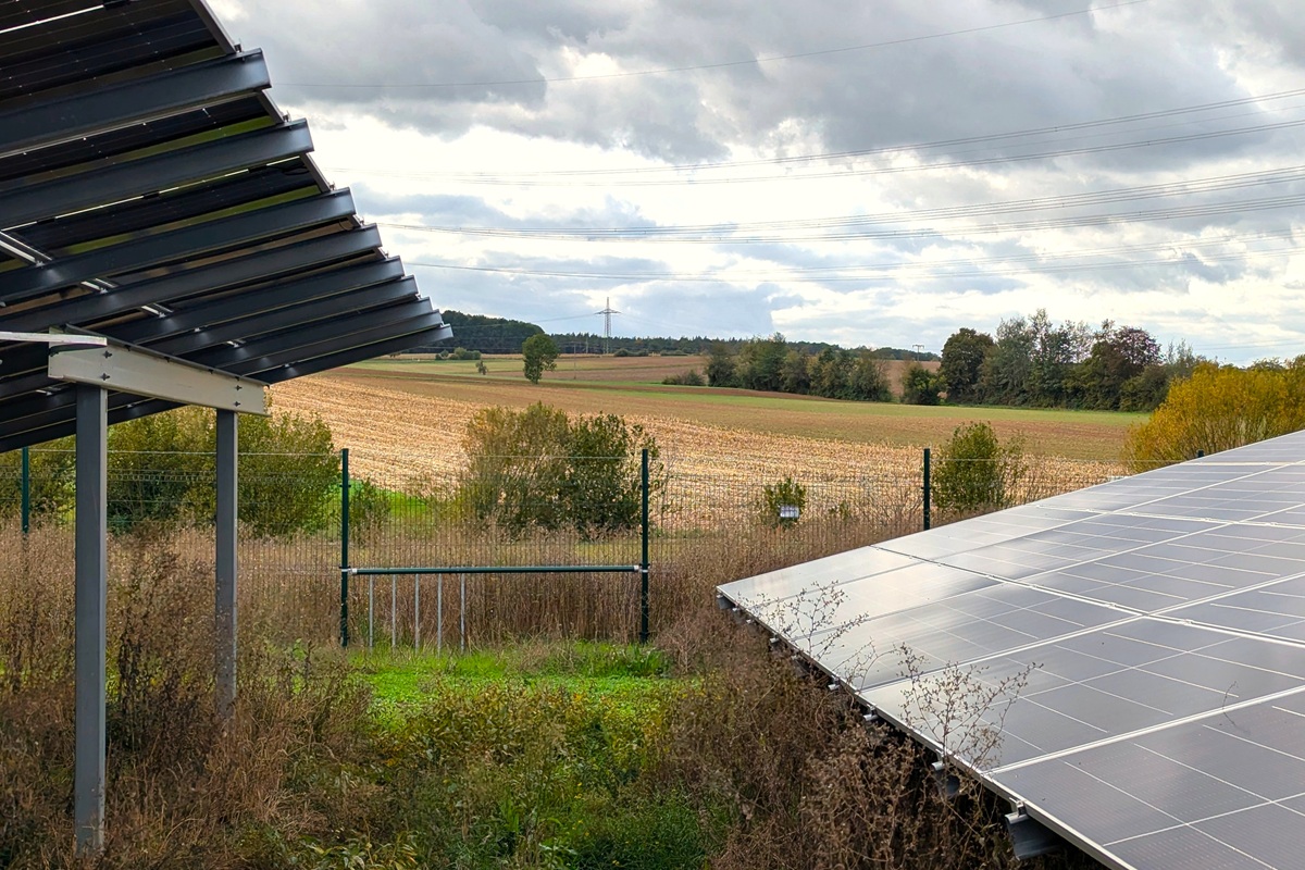German developer tests roe deer passages at solar park