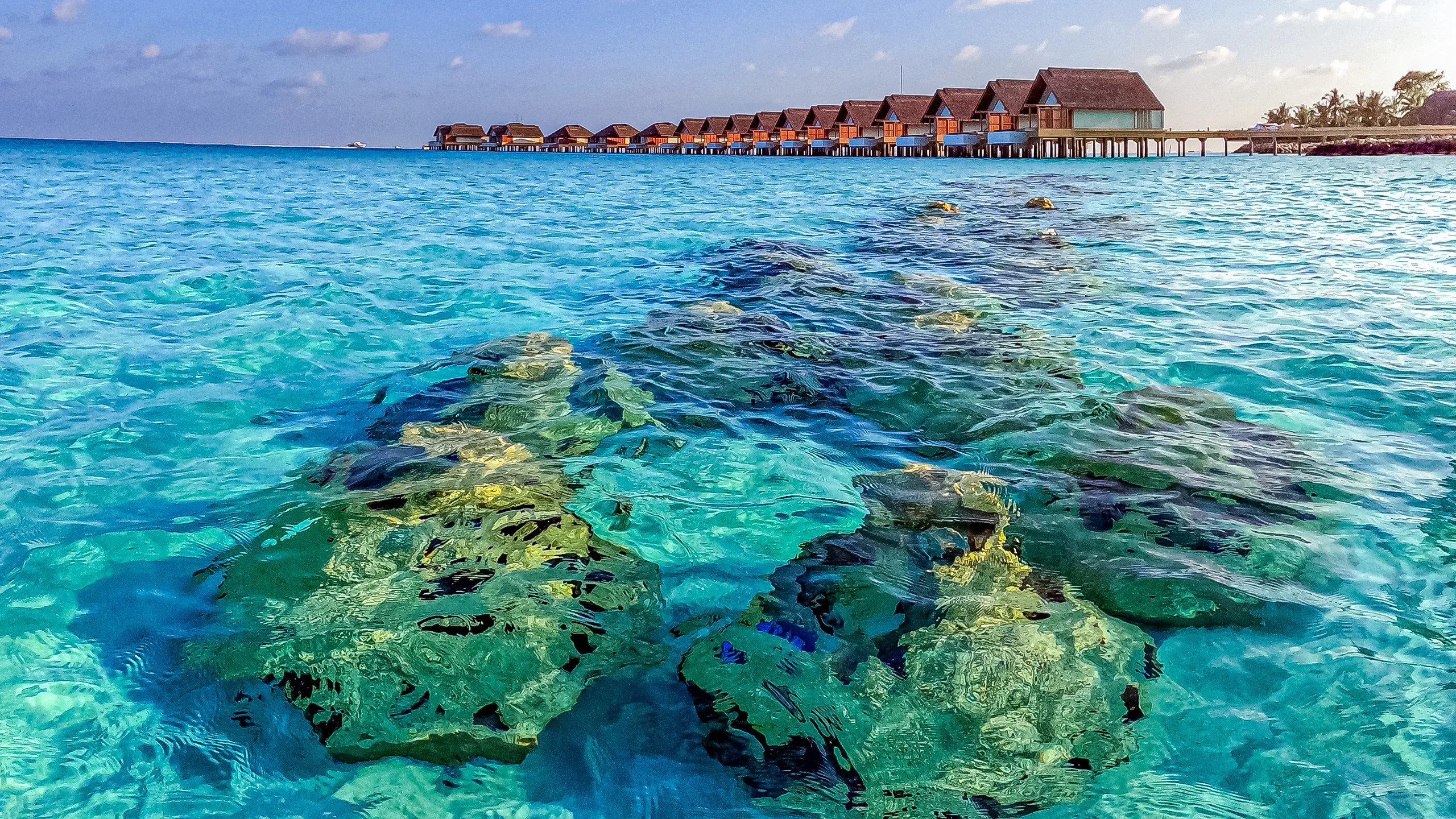 This MIT spinout designed an artificial reef to save shrinking beaches