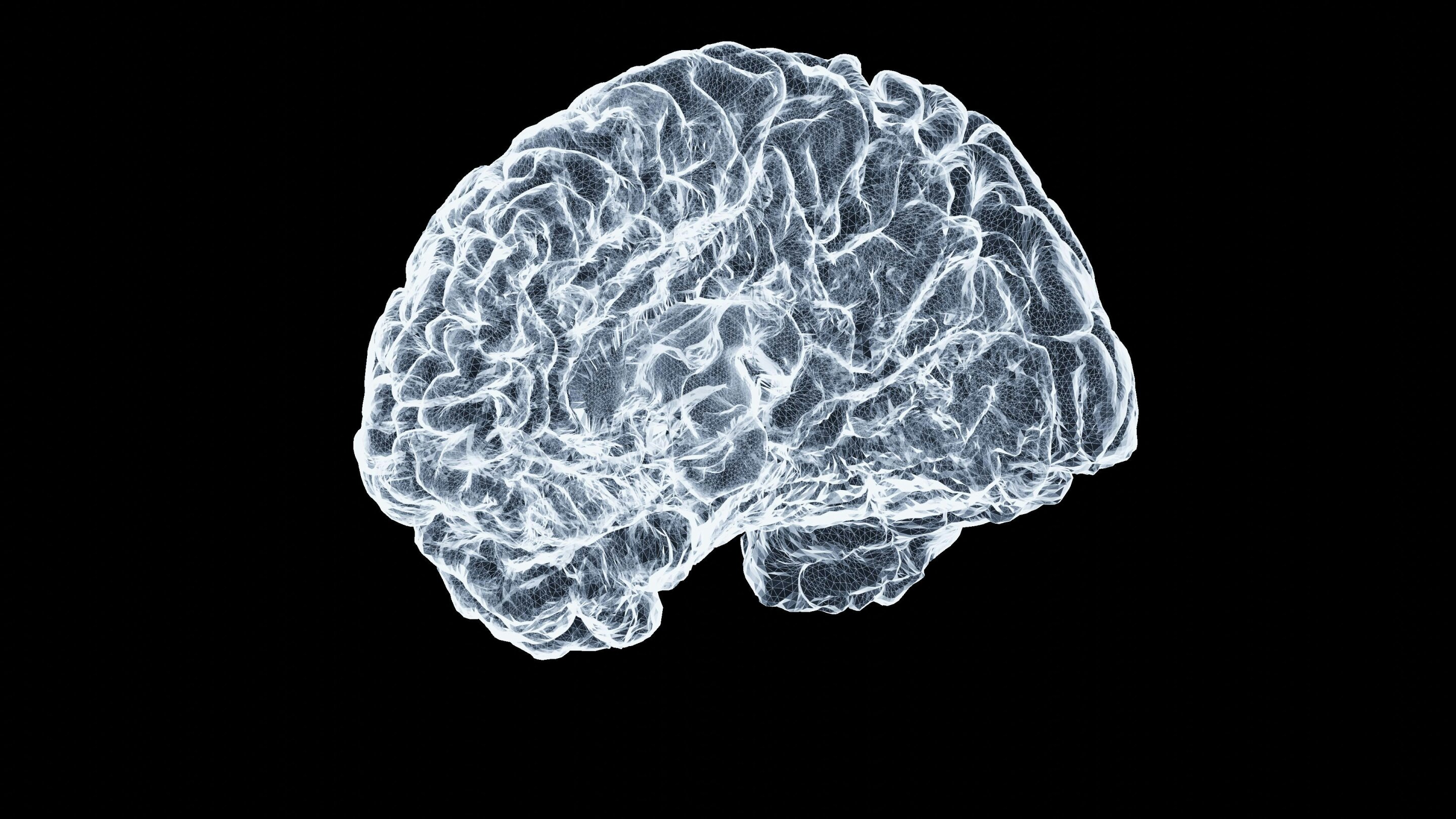 Smoking during pregnancy linked to smaller visual cortex in two populations