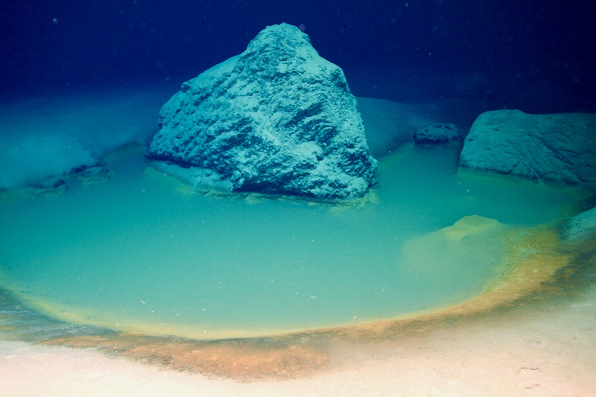 Scientists Found a Deep-Sea ‘Death Pool’ That Vanished. It May Show How Earth’s First Life Survived