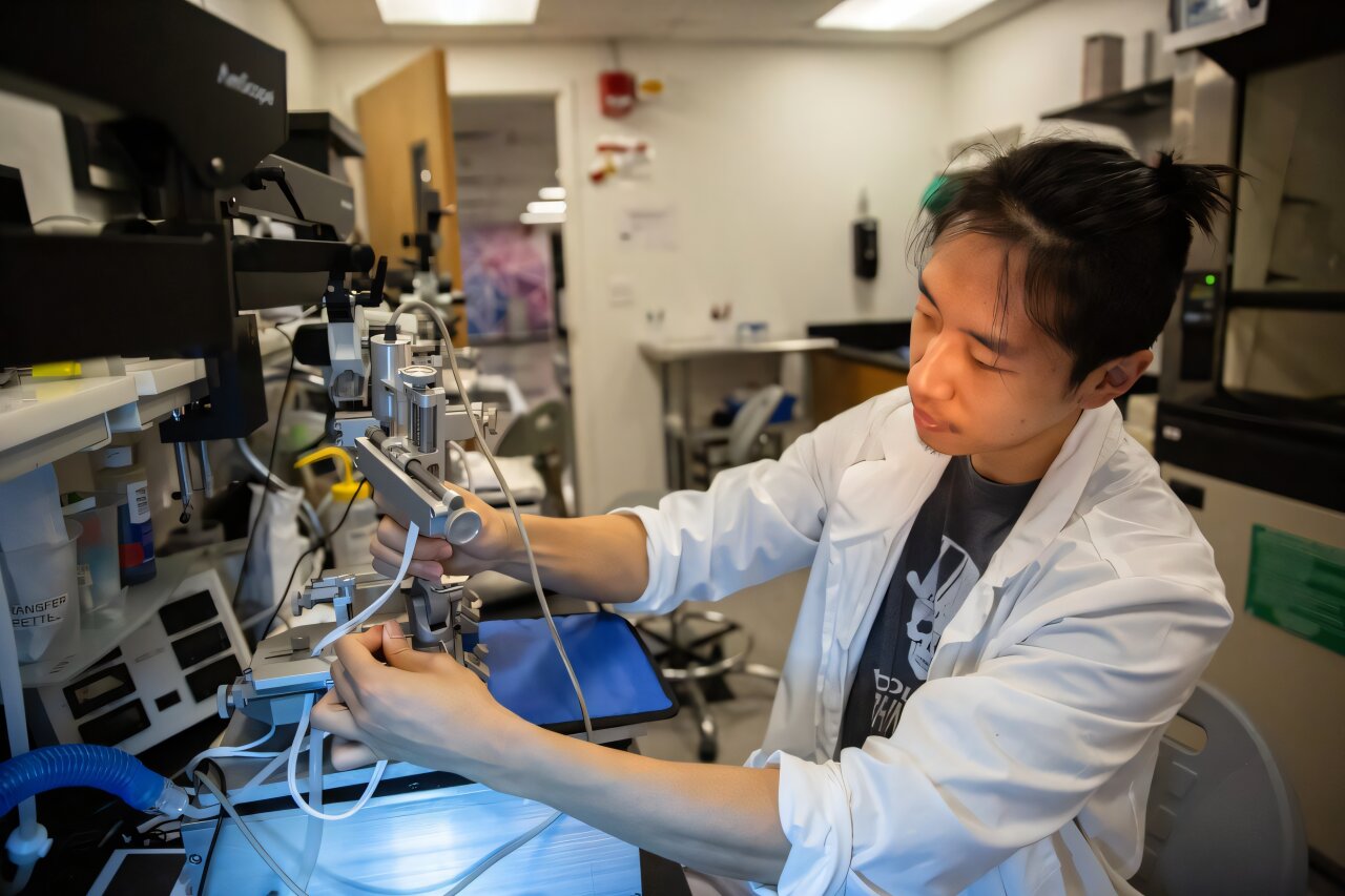 A brainstem signal reorganizes the neural code for taste