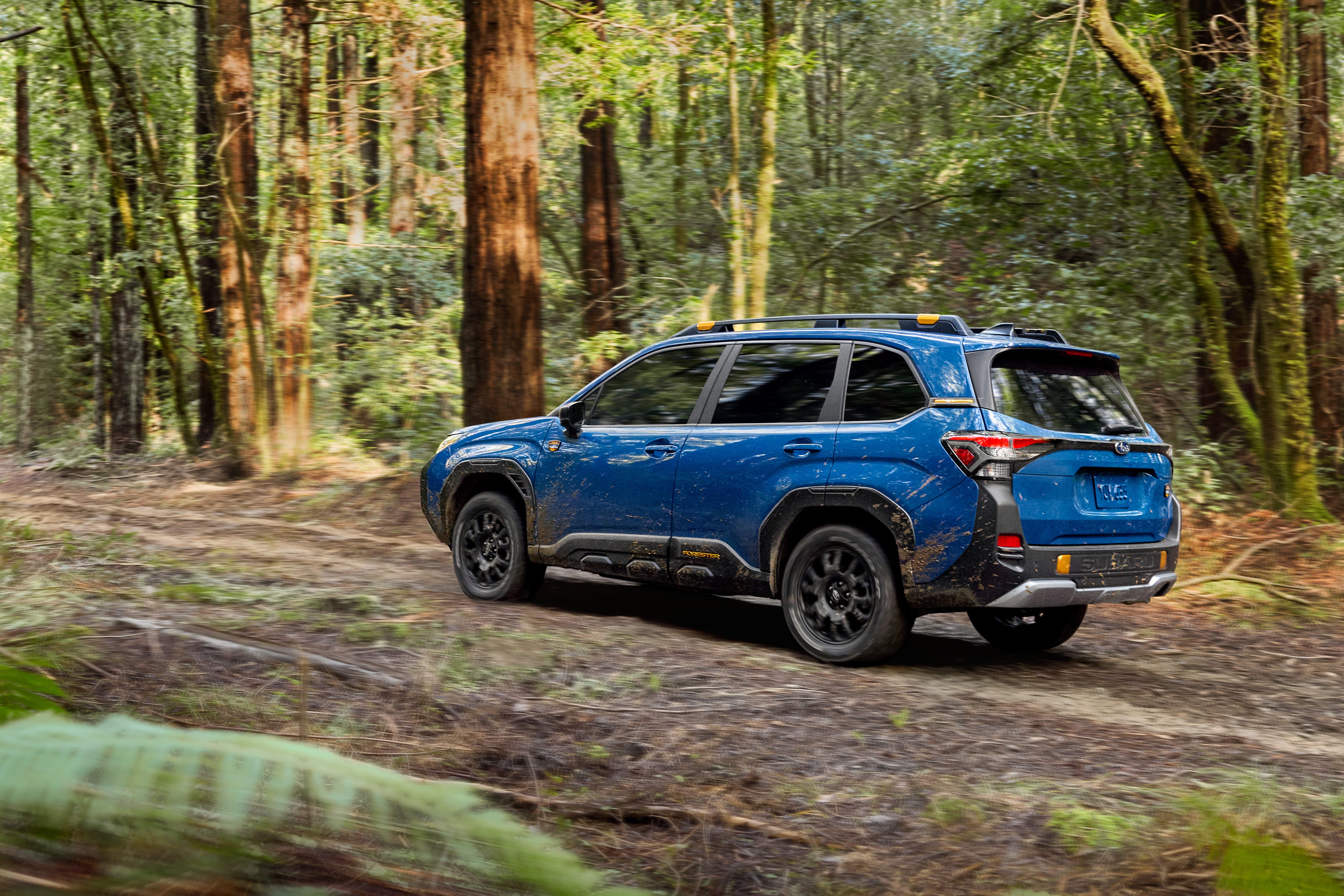 2027 Subaru Forester Prices Hold Steady, but Nonhybrid Lineup Shrinks