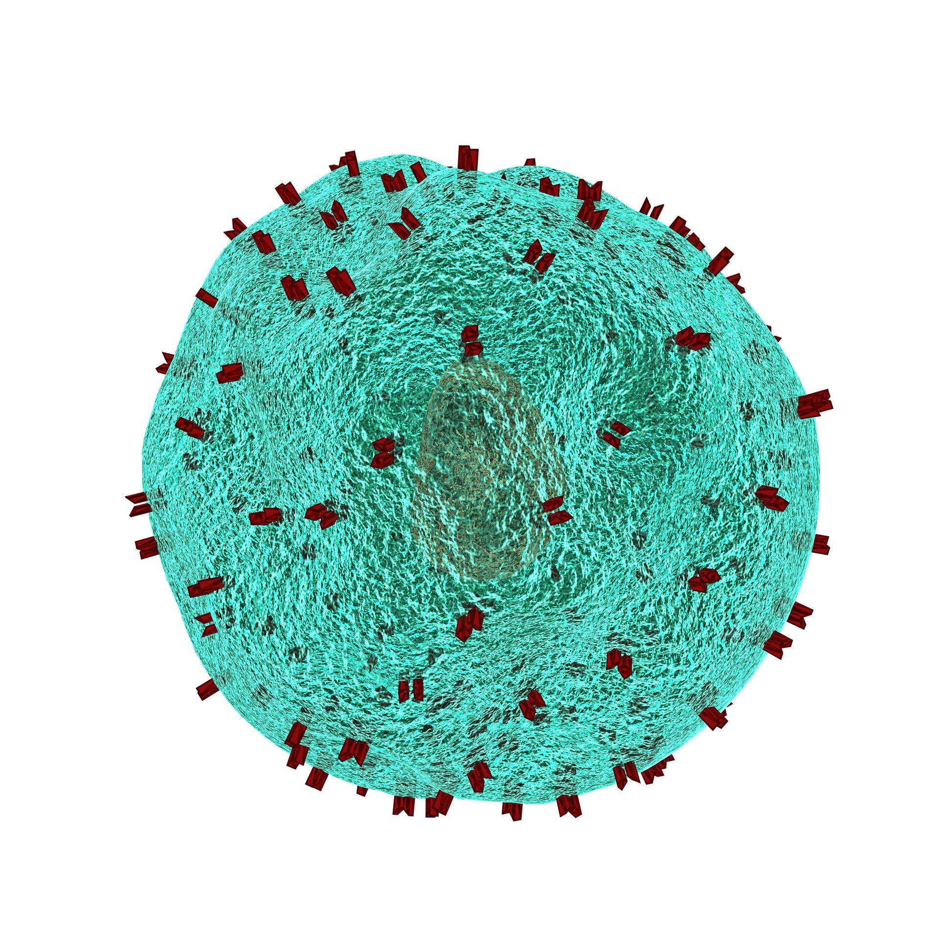 Study identifies two factors that may help patients benefit from off-the-shelf CAR T-cell therapies