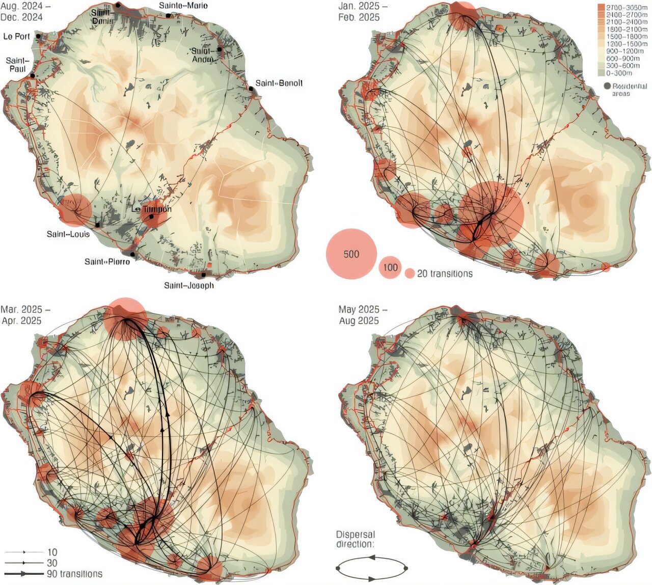 Chikungunya likely entered Réunion Island once then spread through human movement, study suggests