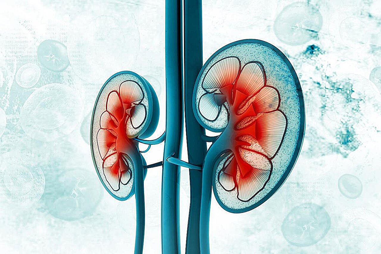 UACR, UPCR provide indistinguishable prognostic information in chronic kidney disease