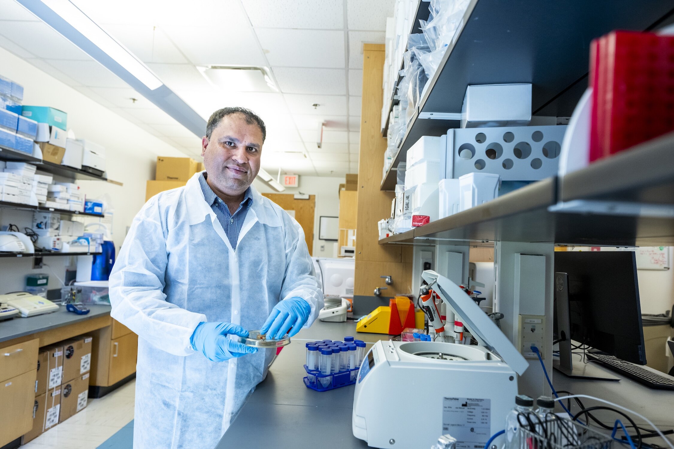 Research advances understanding of tick-borne Powassan virus