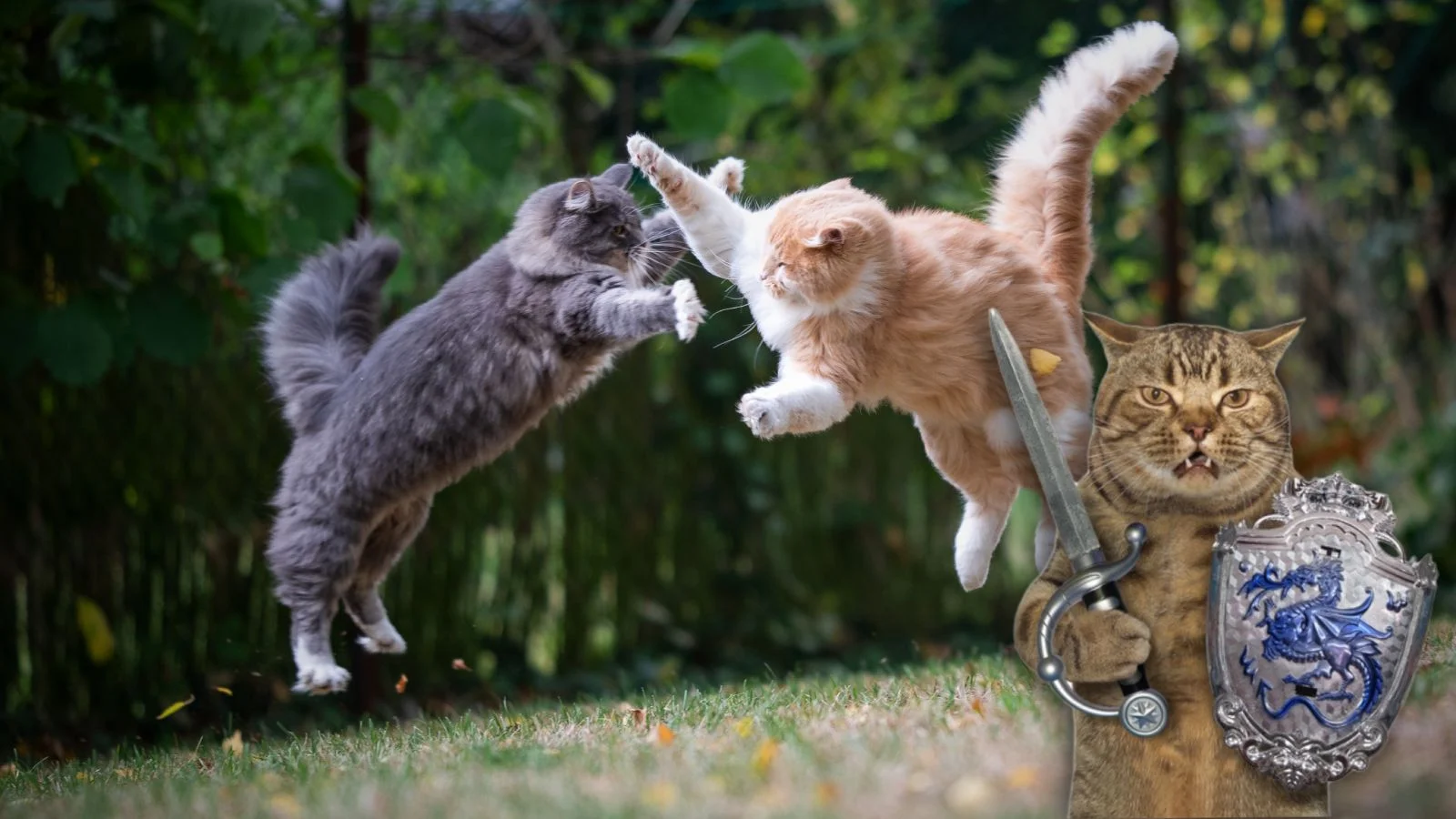 What we've been playing - "I curl up on my sofa and breed my army of battle cats"