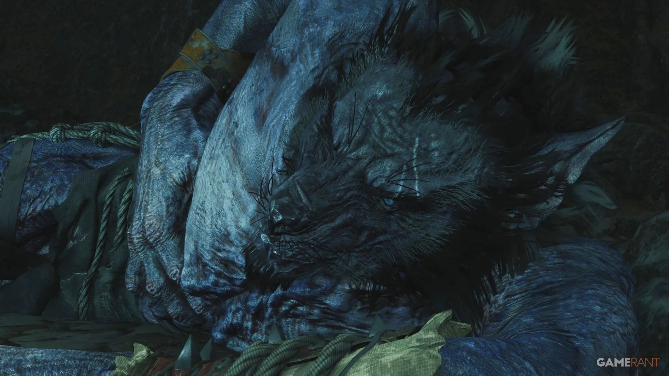 Should You Kill Morkvarg (In Wolf's Clothing) in The Witcher 3