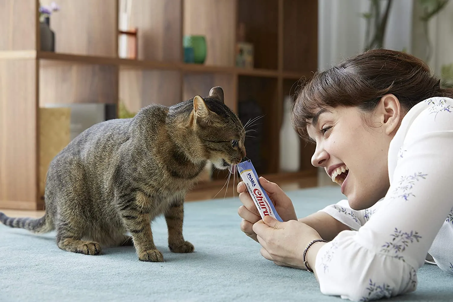Singapore Tightens Pet Grooming Rules After 54 Injury and Death Cases