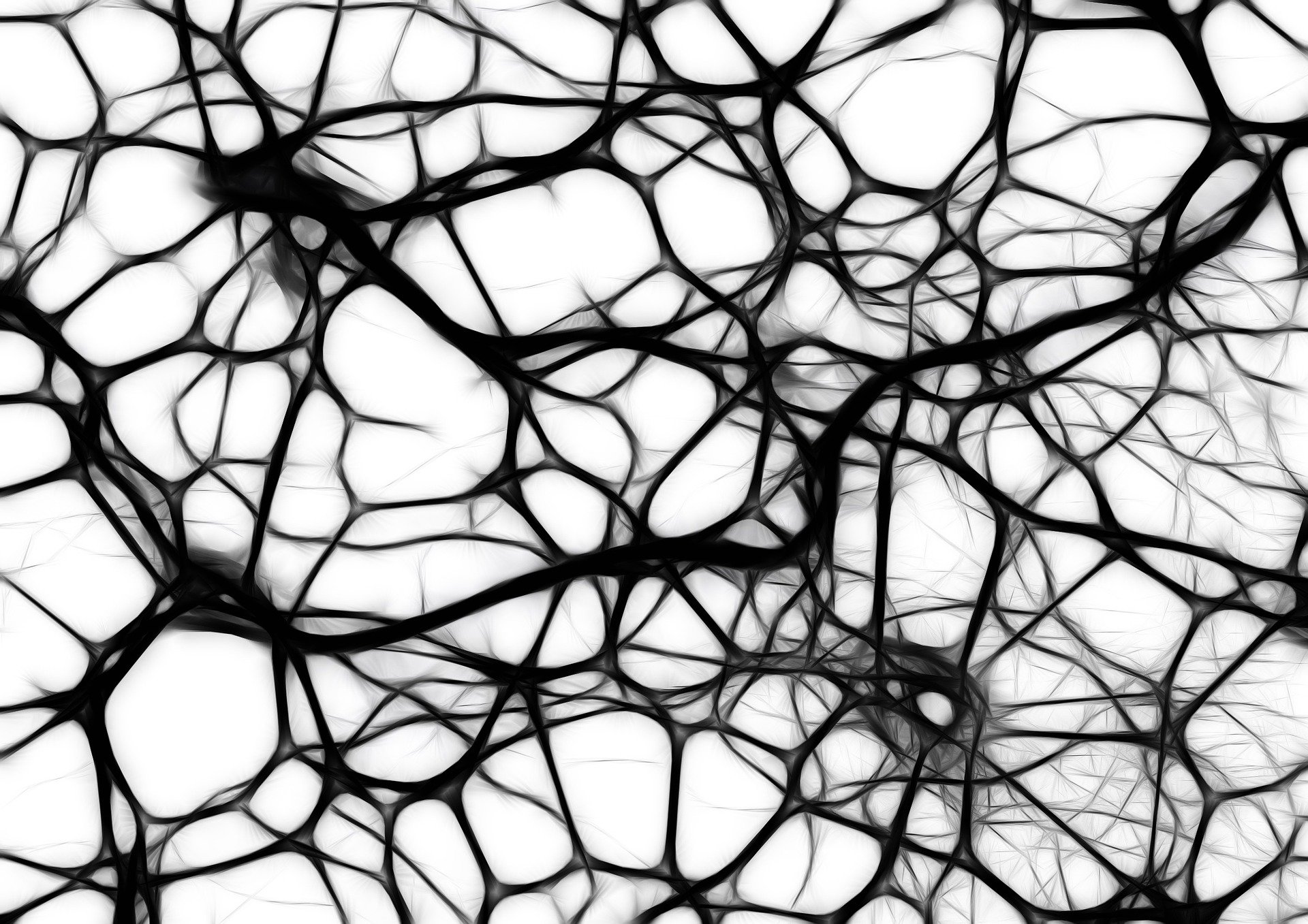 Brain tissue removed during surgery reveals potential way to curb inflammation linked to Alzheimer's