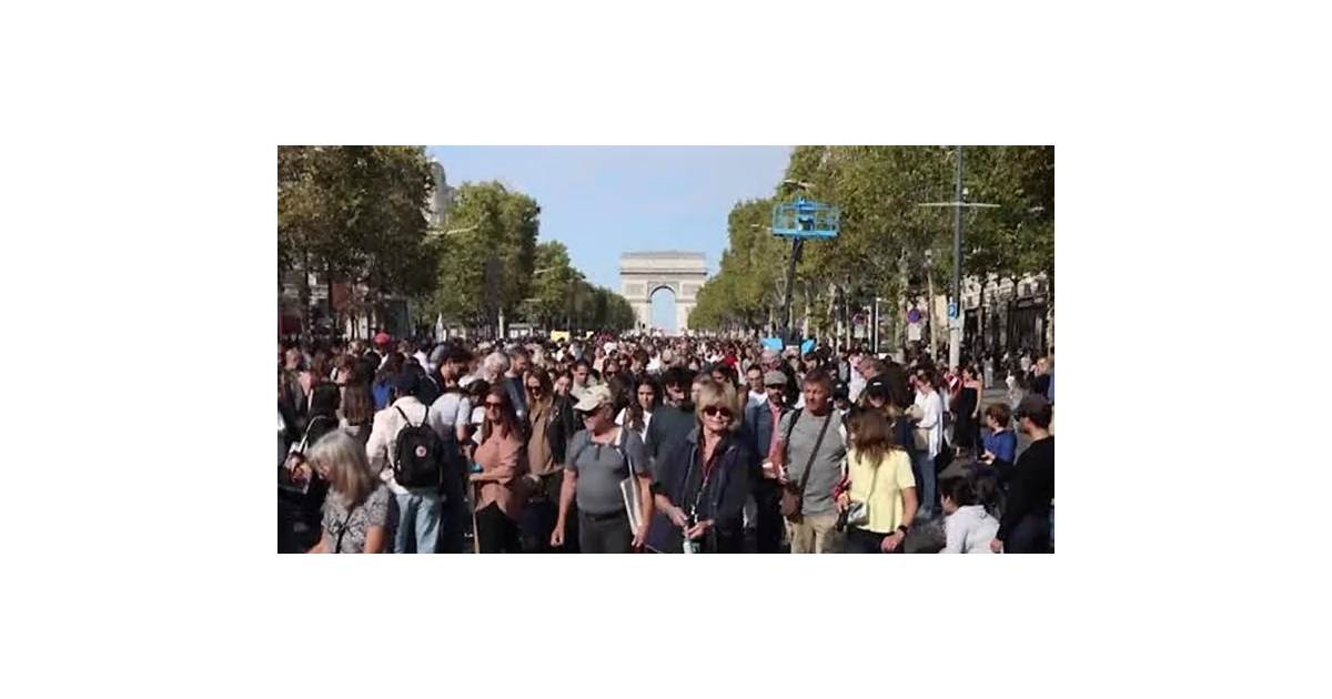 Dachshunds strut in 'Sausage Walk' during Paris Fashion Week