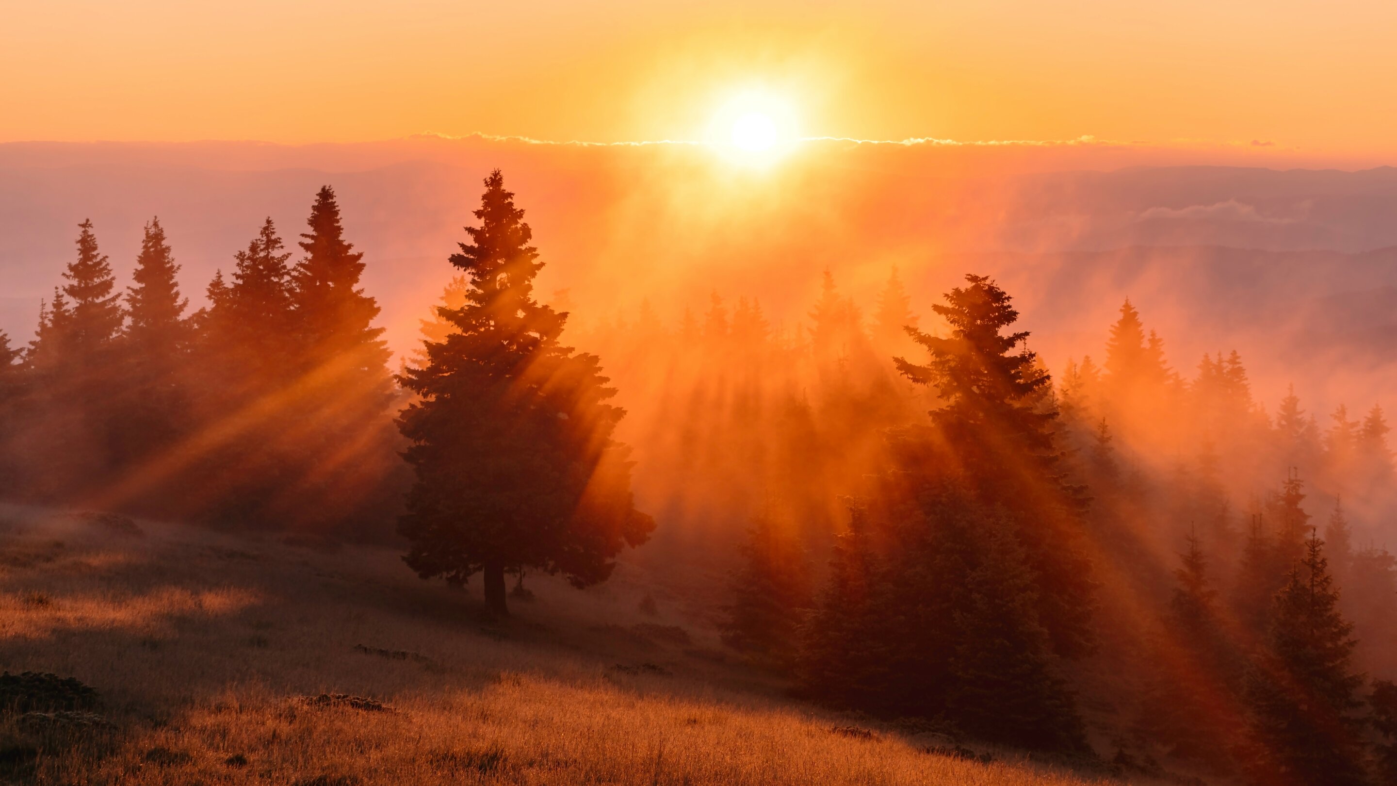 Ending clock changes? Health evidence favors permanent standard time over daylight saving