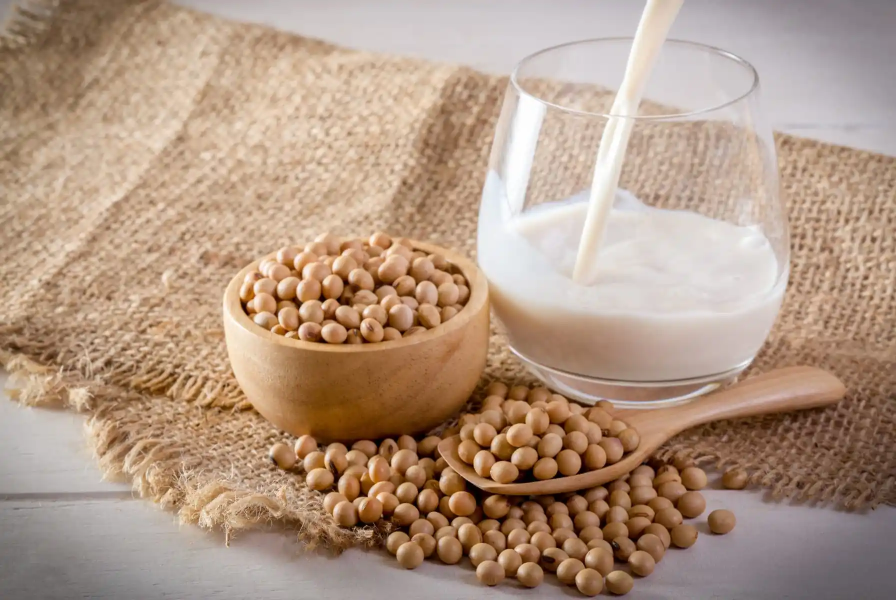 Japan Soy Milk Output Hits Record 445,000 Kilolitres in 2025