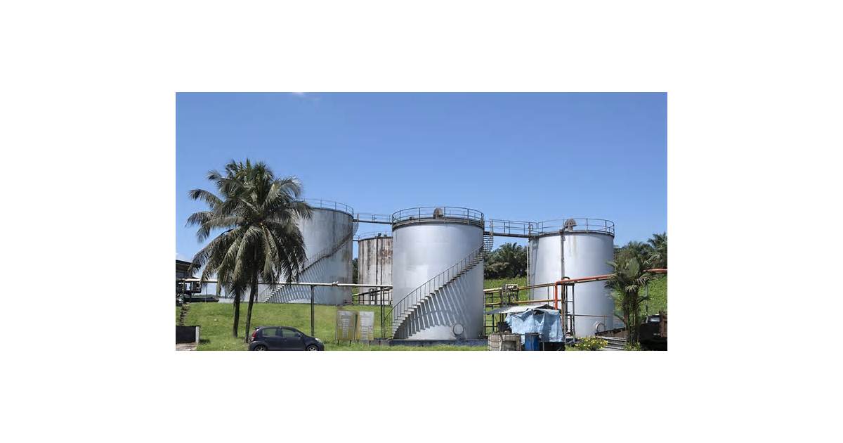 Malaysian Palm Oil Stockpiles Balloon to Record on Output Surge