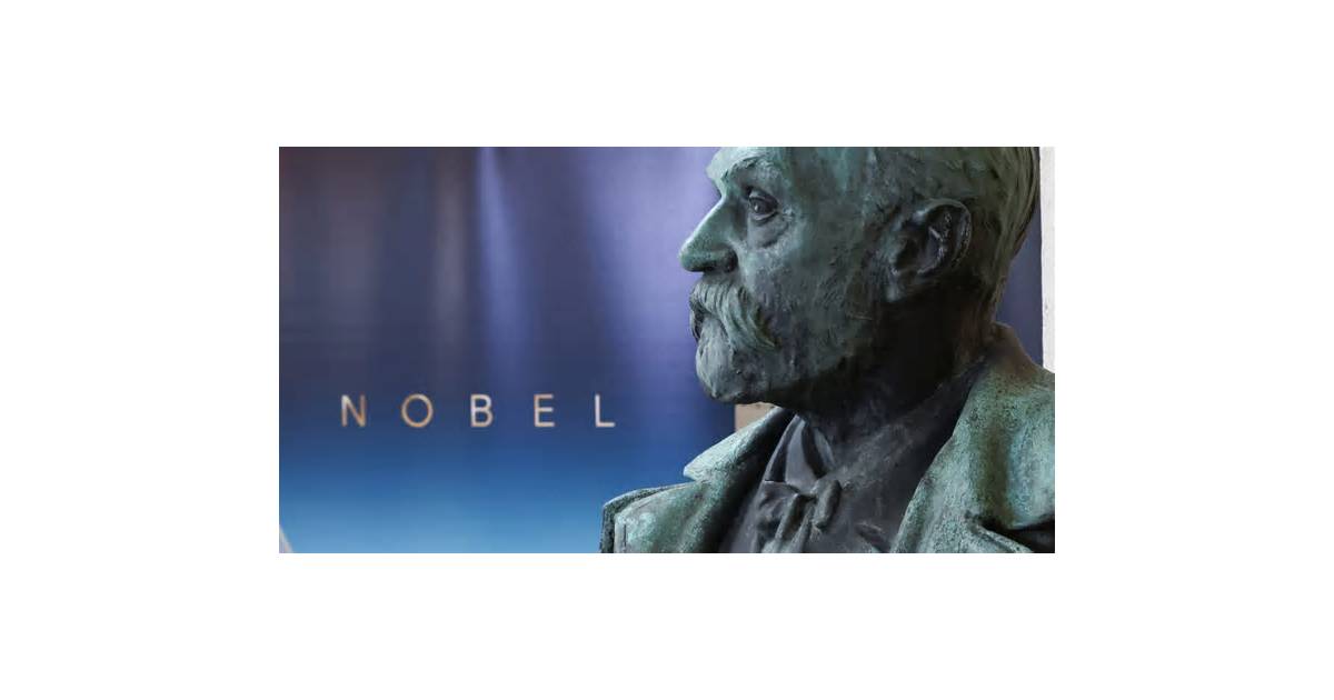 American Deisseroth and Germans Hegemann and Nagel win 2026 Nobel medicine prize