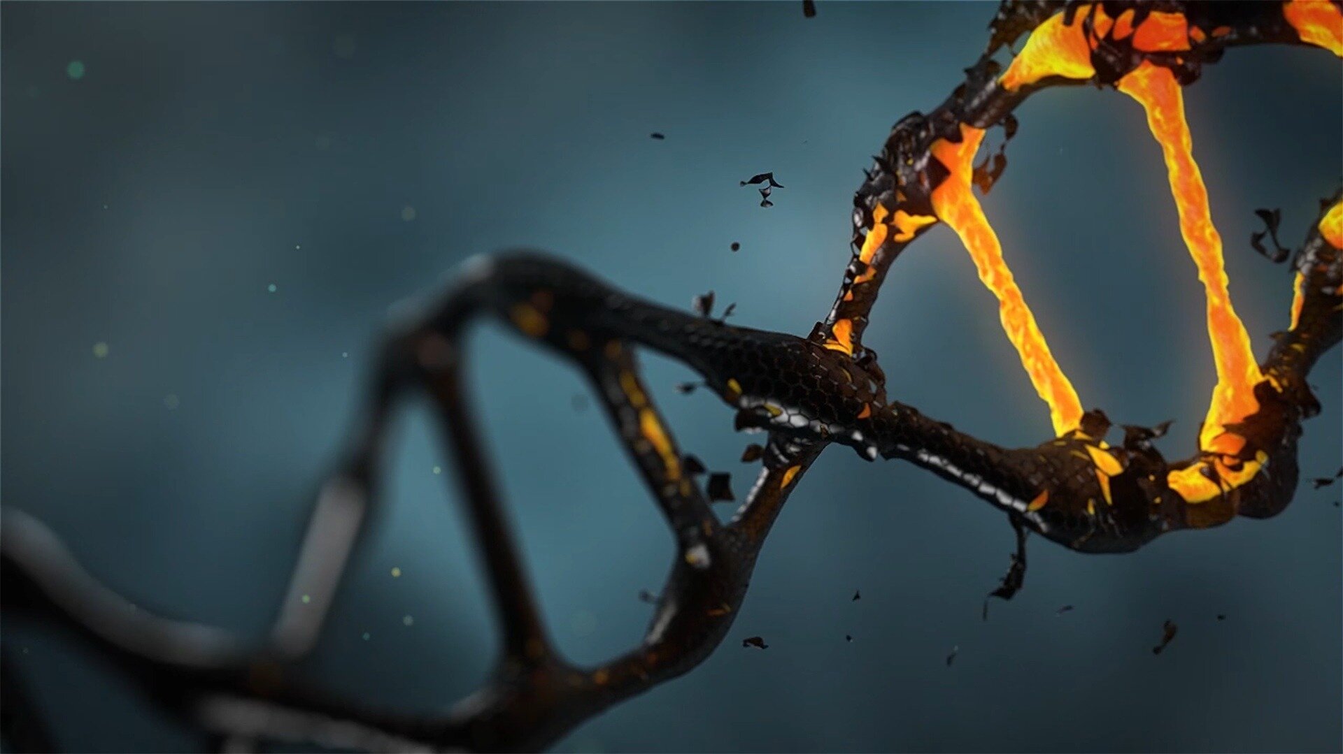 Rare genetic variants linked to lower cognitive test scores in expanded analysis
