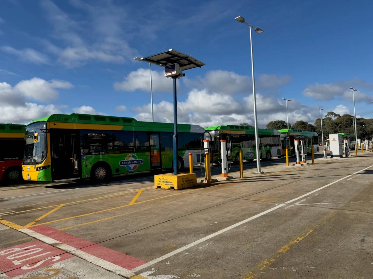 One state opens new tender for hundreds of electric buses, as another state decides to go diesel