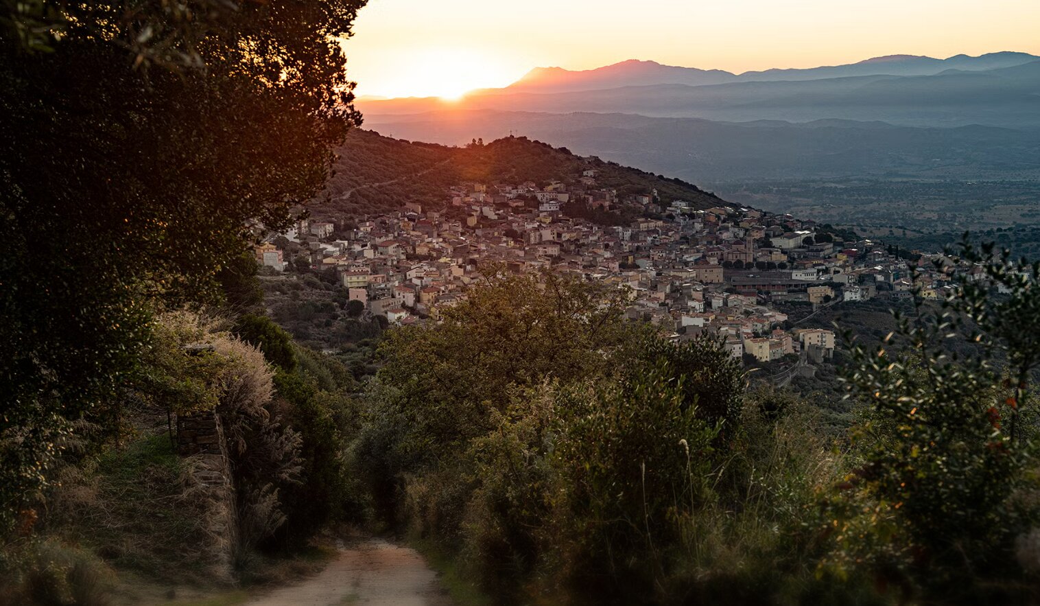 Sardinian village may be a new longevity hotspot