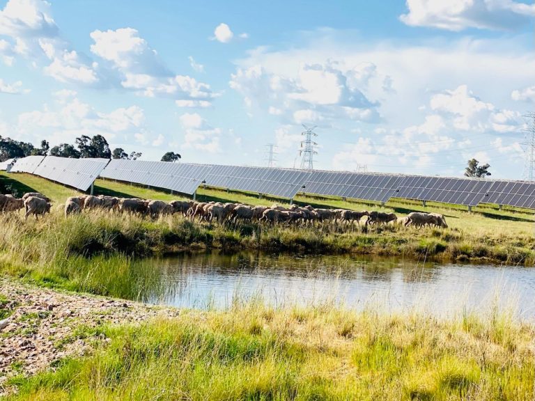 Utility solar generation reaches record highs in Australia