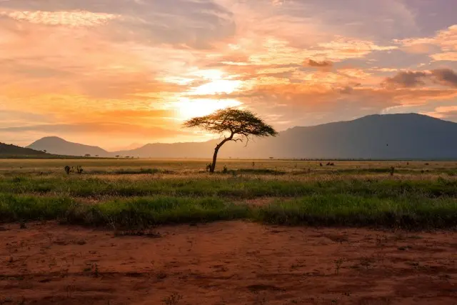 Kora launches stablecoin rail for African cross-border payments