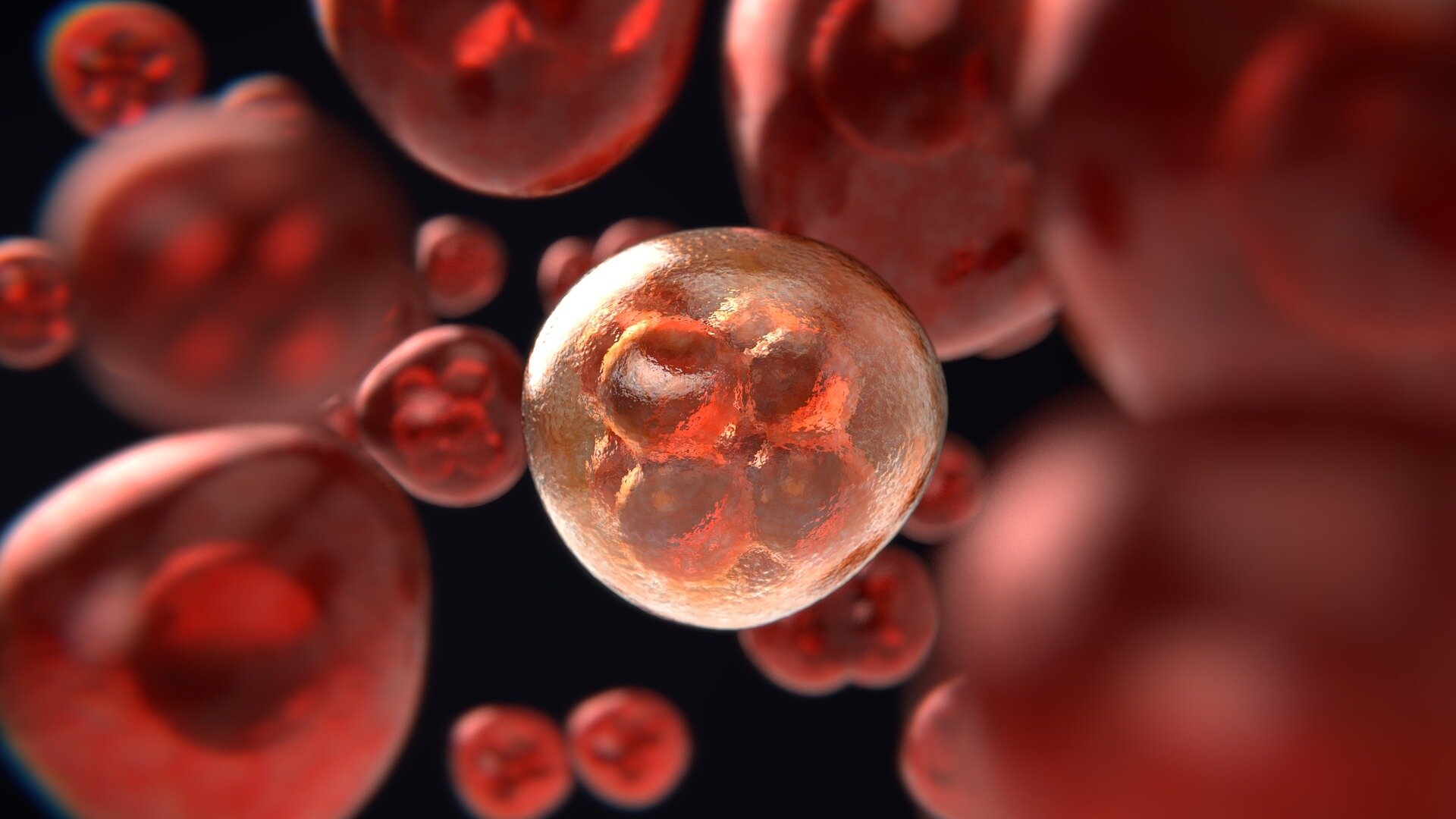 Cancer trial drug may work differently than scientists believed, raising concerns for clinical research