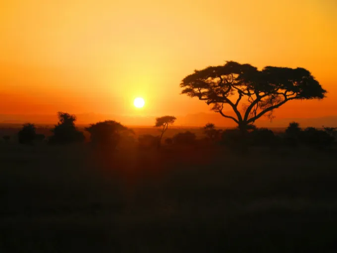 New Report Says Africa Needs A Selective Approach To CDR